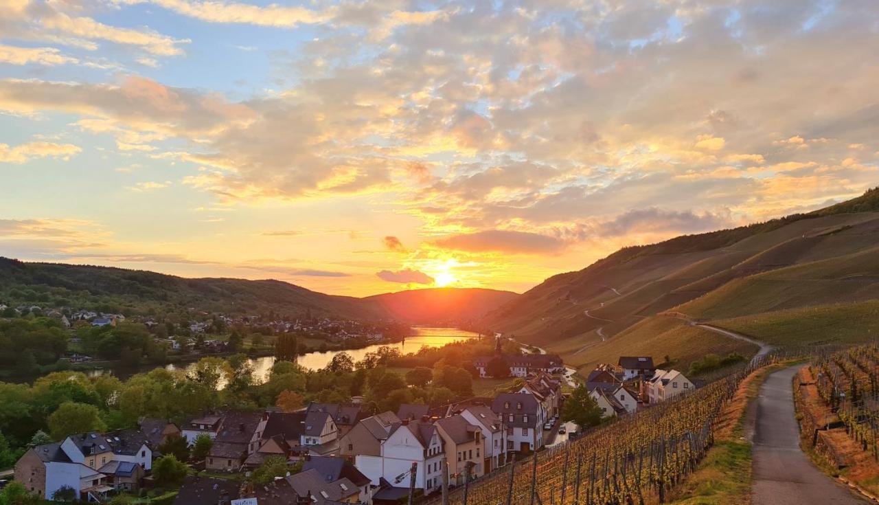 Sonnenufer Apartment & Moselwein II Bernkastel-Kues Eksteriør bilde